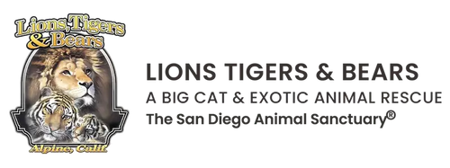 lionstigersandbearssanctuary